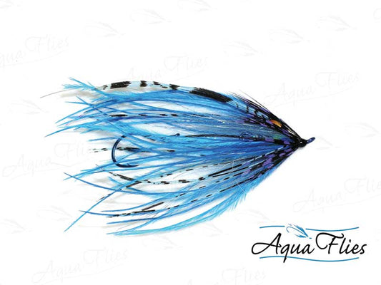 Photo of a Blue steelhead fly.