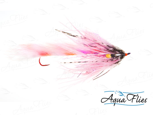 Senyo's Flesh Fly