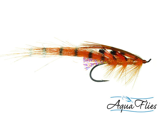 Photo of a Orange Steelhead Fly
