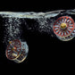 SALAR Reels